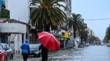 تحذير لـ 4 دول.. منخفض مداري عنيف يهدد السكان بموجة أمطار مدمرة